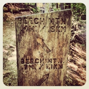 Starting our Beech Mountain hike.