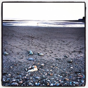Bay of Fundy @ low tide & sunset